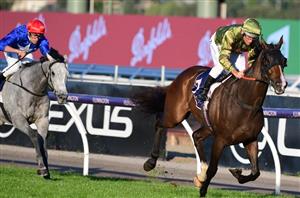 SA Derby Final Field