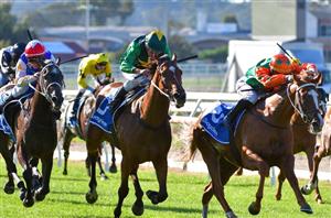 SA Derby Final Field