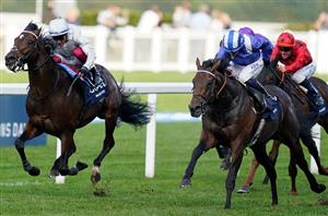 "We all hope there's more to come" - Haggas confident ahead of Baaeed's Lockinge return