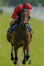 YORK, ENGLAND - MAY 11: Frankie Dettori riding Emily Upjohn (red) win The Tattersalls Musidora Stakes at York Racecourse on May 11, 2022 in York, England. (Photo by Alan Crowhurst/Getty Images)