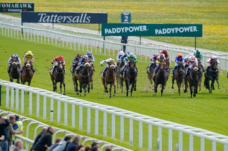 york races