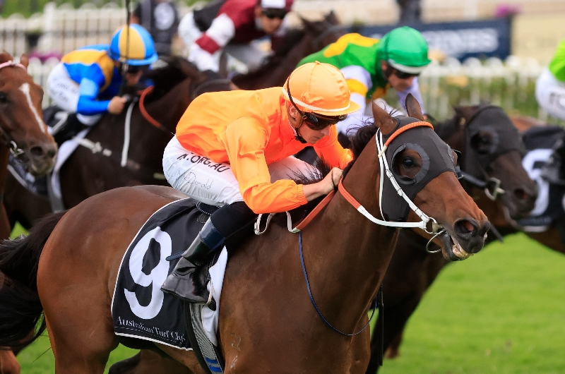 Roughie Tips May 14