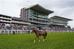 YORK, ENGLAND - MAY 13: Frankie Dettori celebrates in front of the grandstands after riding Stradivarius to victory in The Paddy Power Yorkshire Cup Stakes at York Racecourse on May 13, 2022 in York, England. (Photo by Alan Crowhurst/Getty Images)
