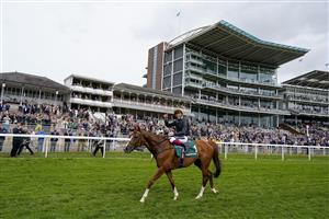 YORK, ENGLAND - MAY 13: Frankie Dettori celebrates in front of the grandstands after riding Stradivarius to victory in The Paddy Power Yorkshire Cup Stakes at York Racecourse on May 13, 2022 in York, England. (Photo by Alan Crowhurst/Getty Images)