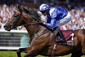 NEWBURY, ENGLAND - MAY 14: Jim Crowley riding Baaeed win The Al Shaqab Lockinge Stakes at Newbury Racecourse on May 14, 2022 in Newbury, England. (Photo by Alan Crowhurst/Getty Images)