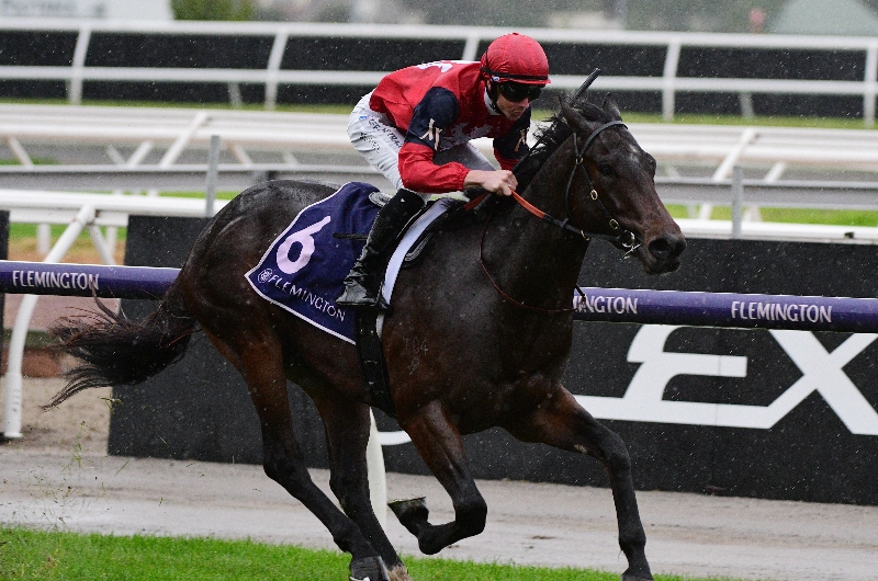 Big Bets Results from 14.05.2022