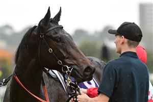 MELBOURNE, AUSTRALIA - MAY 14: Doull after winning Race 1, the Next Generation Sprinters Series Heat 1, during Melbourne Racing at Flemington Racecourse on May 14, 2022 in Melbourne, Australia. (Photo by Vince Caligiuri/Getty Images)