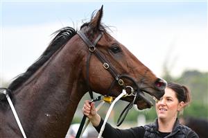 MELBOURNE, AUSTRALIA - MAY 14: Hezashocka after winning Race 5, the 2022 Lexus Melbourne Cup Tour Handicap, during Melbourne Racing at Flemington Racecourse on May 14, 2022 in Melbourne, Australia. (Photo by Vince Caligiuri/Getty Images)