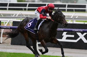Big Bets Results from 14.05.2022