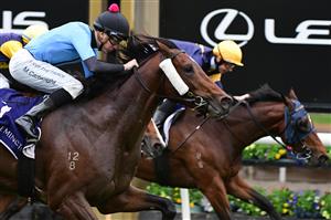 MELBOURNE, AUSTRALIA - MAY 14: Matthew Cartwright riding Flash Feeling winning Race 3, the Mahogany Challenge Series Heat 2, during Melbourne Racing at Flemington Racecourse on May 14, 2022 in Melbourne, Australia. (Photo by Vince Caligiuri/Getty Images)