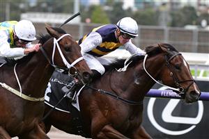 MELBOURNE, AUSTRALIA - MAY 14: Patrick Moloney riding Hezashocka winning Race 5, the 2022 Lexus Melbourne Cup Tour Handicap, during Melbourne Racing at Flemington Racecourse on May 14, 2022 in Melbourne, Australia. (Photo by Vince Caligiuri/Getty Images)