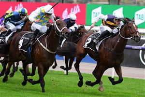 MELBOURNE, AUSTRALIA - MAY 14: Patrick Moloney riding Hezashocka winning Race 5, the 2022 Lexus Melbourne Cup Tour Handicap, during Melbourne Racing at Flemington Racecourse on May 14, 2022 in Melbourne, Australia. (Photo by Vince Caligiuri/Getty Images)