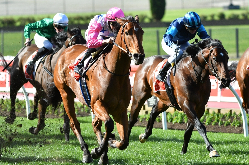 The Goodwood Tips