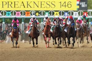 preakness stakes