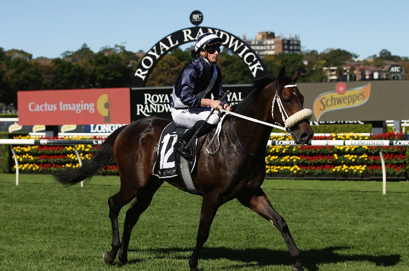Flemington Betting Tips