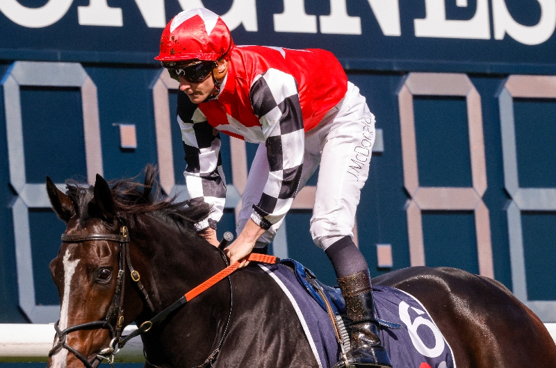 Roughie Tips May 21