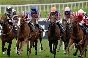 curragh races