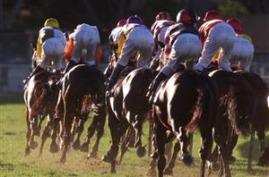 Queensland Derby Betting Odds - Kiwis head the betting