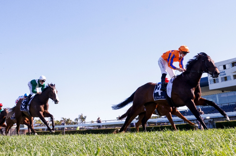 auckland cup 2022 bettingadvice