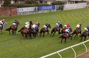 Queensland Derby 2022 Barriers & Final Field