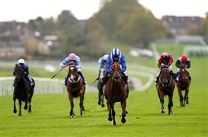 2023 John Of Gaunt Stakes Odds - Aldaary leads Angel Bleu in the market