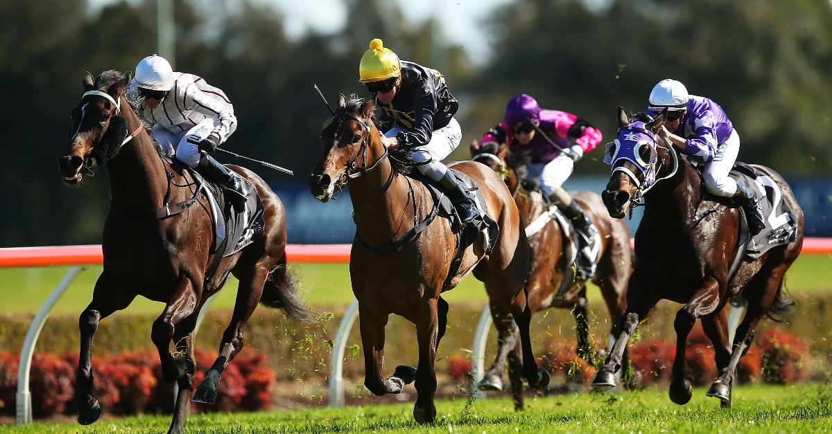 Canterbury Betting Tips for June 21, 2023 Futtaim to spike off solid