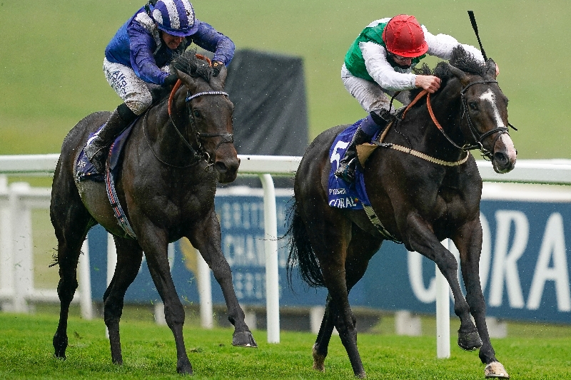 pyledriver epsom