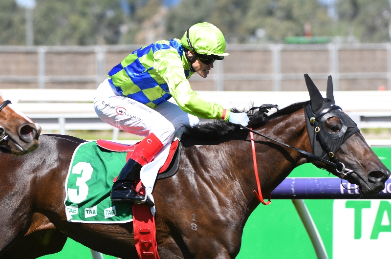 Big Bets Results from 28.05.2022