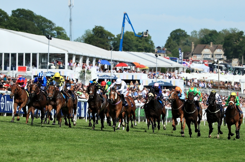 epsom dash
