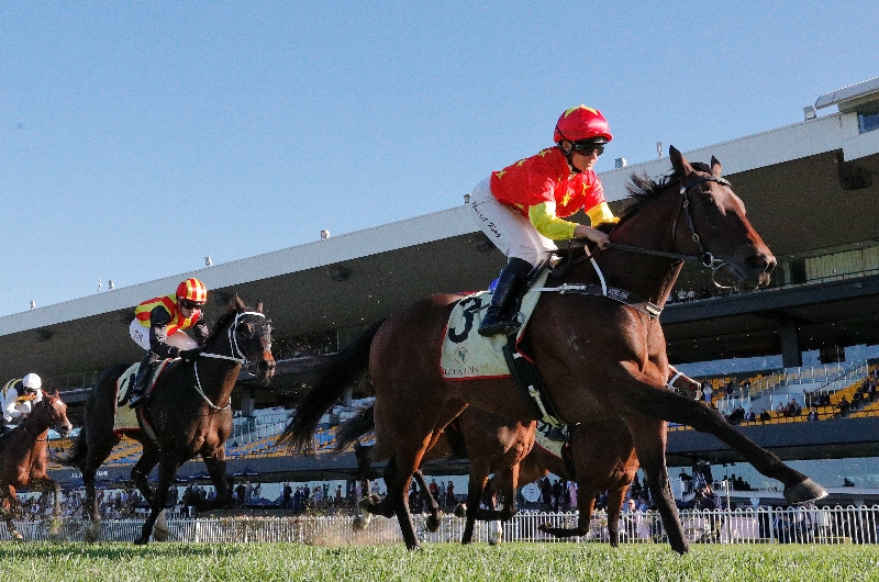 Big Bets Results from 04.06.2022