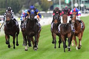 Saturday Blackbookers & Horses To Follow from June 4
