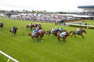 Stradbroke Handicap Field