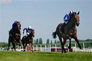 2022 Queen Anne Stakes Odds - Baaeed odds-on to remain unbeaten 