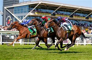 2022 Royal Ascot Tips - Four huge value bets in the Group Ones