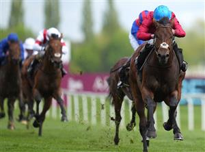 2022 Prince Of Wales's Stakes Odds - Bay Bridge favourite to land first Group One