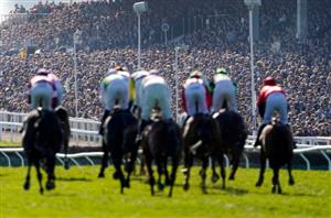  Cheltenham Festival Live Stream