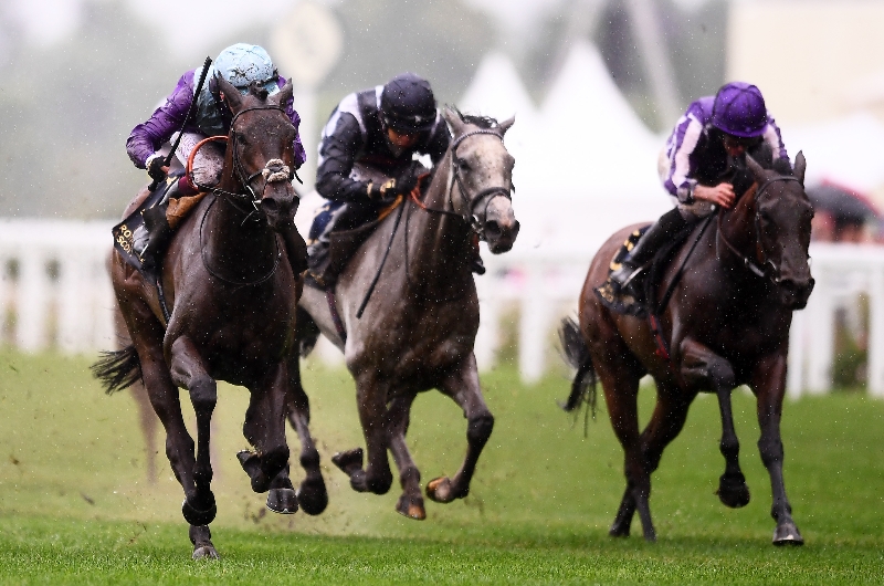 coronation stakes 2022 betting websites