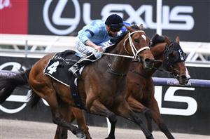 Get $4.20 for James McDonald to ride 2+ winners at Eagle Farm