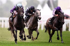 2022 Coronation Stakes Odds - Homeless Songs dominates Royal betting
