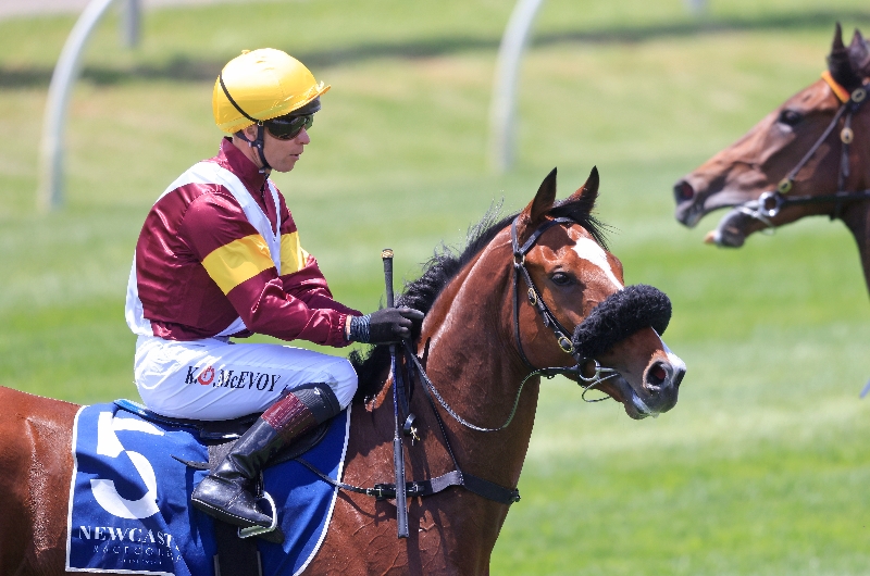Big Bets for 11.06.2022