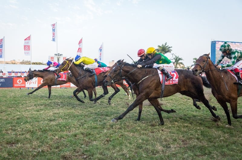 greyville races