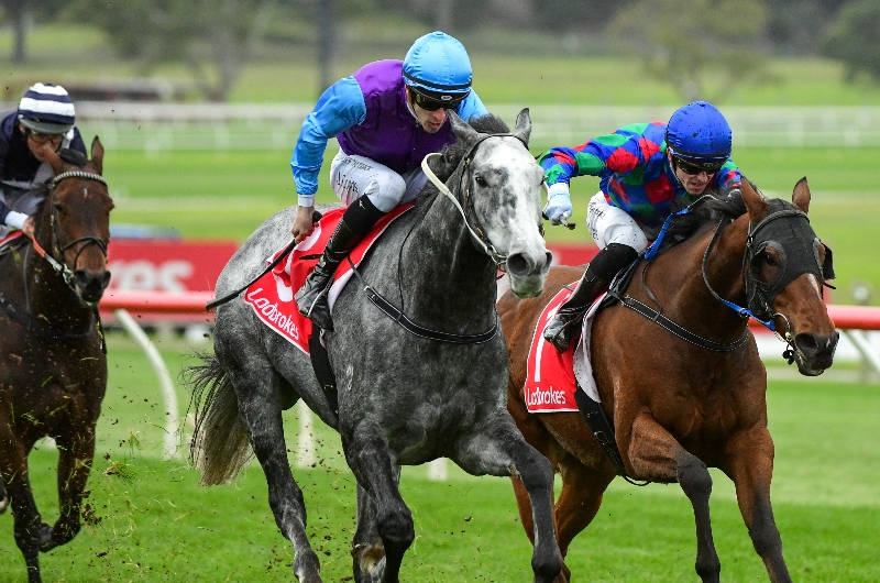Big Bets Results from 11.06.2022