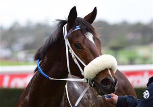 MELBOURNE, AUSTRALIA - JUNE 11: She Dances after winning Race 1, the Ive Print Handicap, during Melbourne Racing at Sandown Hillside on June 11, 2022 in Melbourne, Australia. (Photo by Vince Caligiuri/Getty Images)