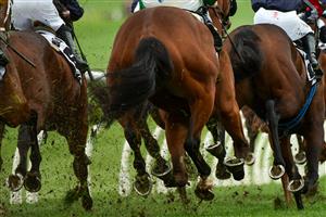 MELBOURNE, AUSTRALIA - JUNE 11: A general view of horses hooves during Race 4, the Thoroughbred Club Handicap, during Melbourne Racing at Sandown Hillside on June 11, 2022 in Melbourne, Australia. (Photo by Vince Caligiuri/Getty Images)