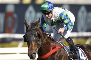 SYDNEY, AUSTRALIA - JUNE 11: Reece Jones on Waihaha Falls wins race 3 the 50 Year And Life Members Handicap during Sydney Racing at Royal Randwick Racecourse on June 11, 2022 in Sydney, Australia. (Photo by Mark Evans/Getty Images)