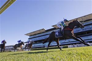 SYDNEY, AUSTRALIA - JUNE 11: Reece Jones on Waihaha Falls wins race 3 the 50 Year And Life Members Handicap during Sydney Racing at Royal Randwick Racecourse on June 11, 2022 in Sydney, Australia. (Photo by Mark Evans/Getty Images)