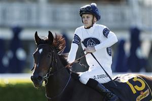 SYDNEY, AUSTRALIA - JUNE 11: Dylan Gibbons on Wingardium returns to scale after winning race 2 the Schweppes Handicap during Sydney Racing at Royal Randwick Racecourse on June 11, 2022 in Sydney, Australia. (Photo by Mark Evans/Getty Images)