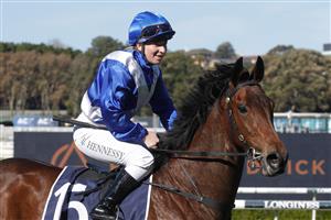 SYDNEY, AUSTRALIA - JUNE 11: Ellen Henessey on Essone returns to scale after winning race 4 the Midway Handicap during Sydney Racing at Royal Randwick Racecourse on June 11, 2022 in Sydney, Australia. (Photo by Mark Evans/Getty Images)
