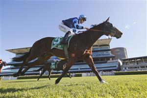 SYDNEY, AUSTRALIA - JUNE 11: Dylan Gibbons on Zadig wins race 1 the TAB Highway Handicap during Sydney Racing at Royal Randwick Racecourse on June 11, 2022 in Sydney, Australia. (Photo by Mark Evans/Getty Images)