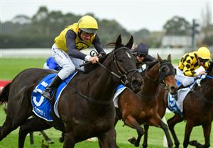 MELBOURNE, AUSTRALIA - JUNE 11: Damien Oliver riding My Yankee Girl winning Race 5, the Tile Importer Handicap, during Melbourne Racing at Sandown Hillside on June 11, 2022 in Melbourne, Australia. (Photo by Vince Caligiuri/Getty Images)